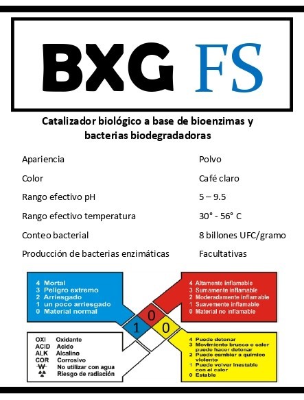 BXG FS 