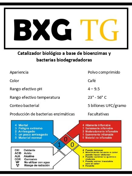 BXG TG 