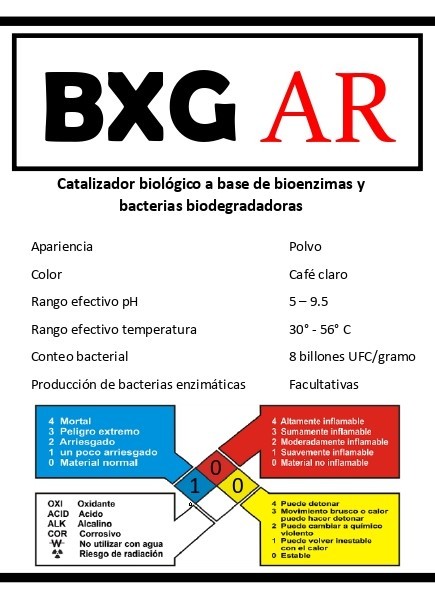 BXG AR 
